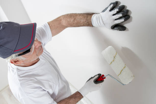 New Haven, MO Mold Removal Company
